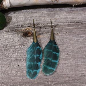 Beautiful Boundaries Feathered Earrings
